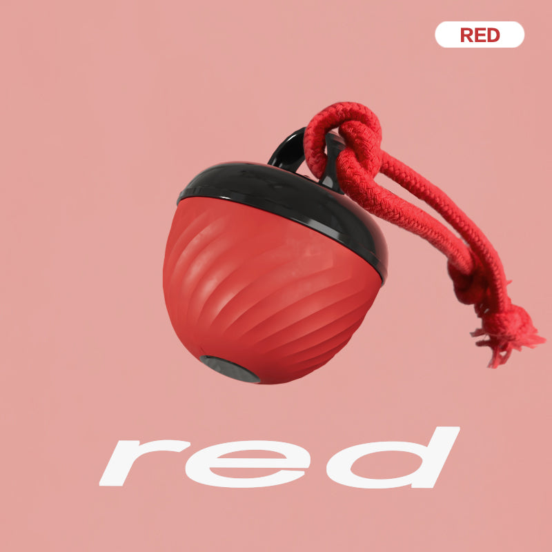 Smart Dog Cat Toy Ball Interactive Moving Ball