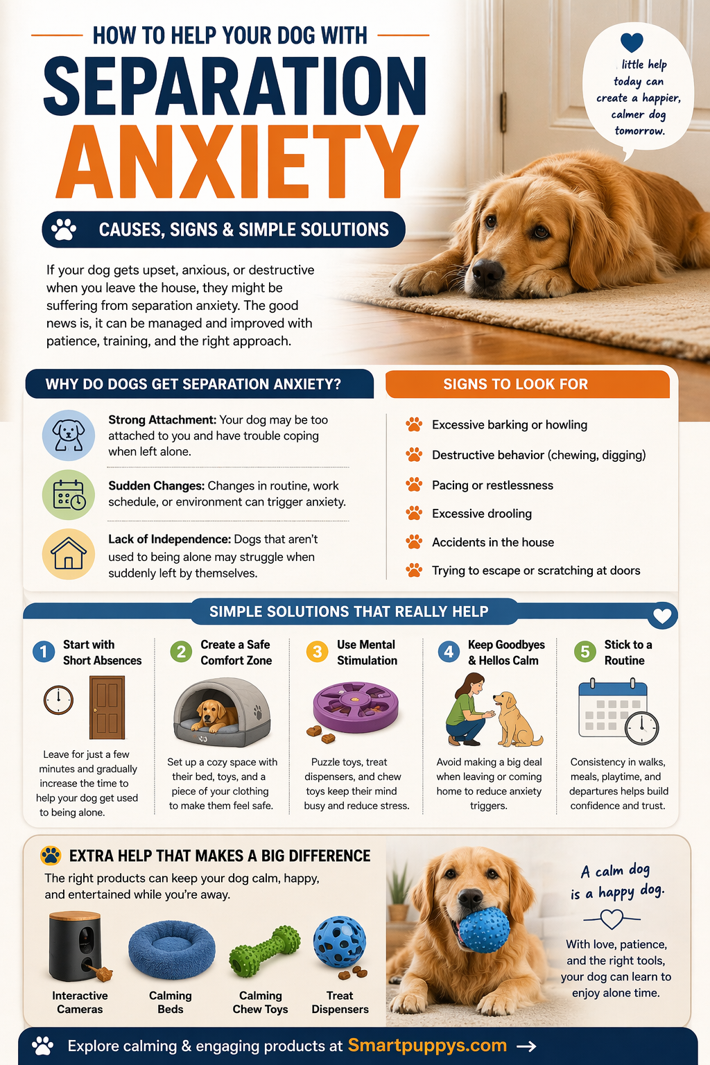 How to Calm a Dog with Separation Anxiety (Simple Fixes That Work)