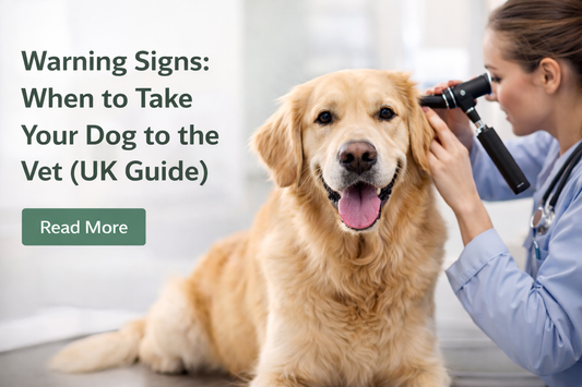 7 Warning Signs Your Dog Needs a Vet Visit