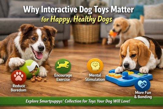 Why Interactive Dog Toys Matter for Happy, Healthy Dogs