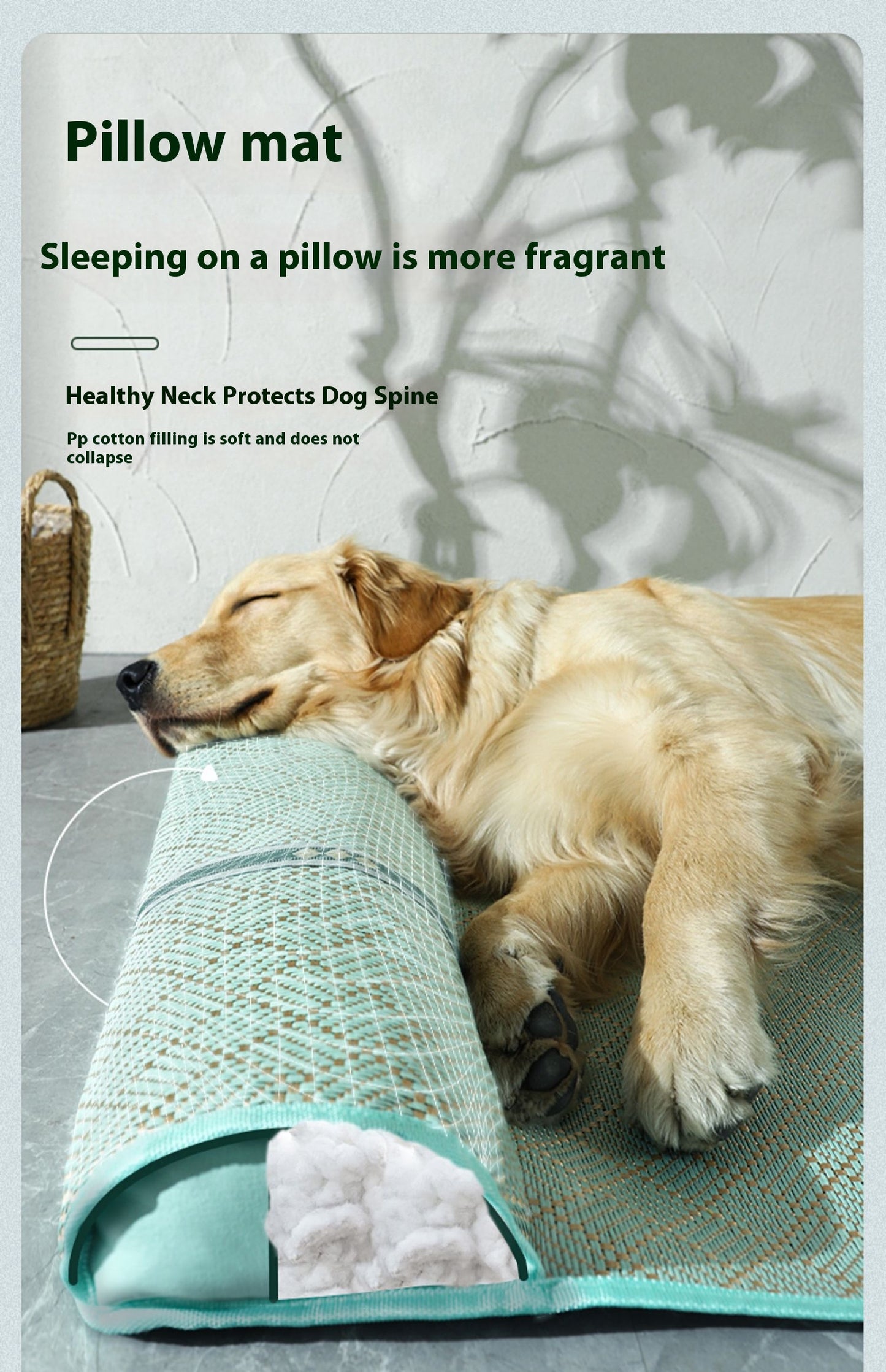 Dog Mat for Summer