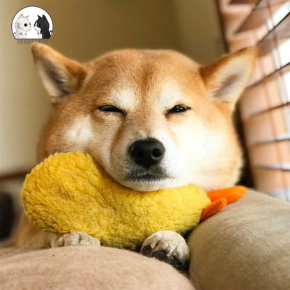 Fried Shrimp Chew Toy