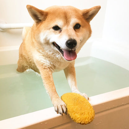 Fried Shrimp Chew Toy