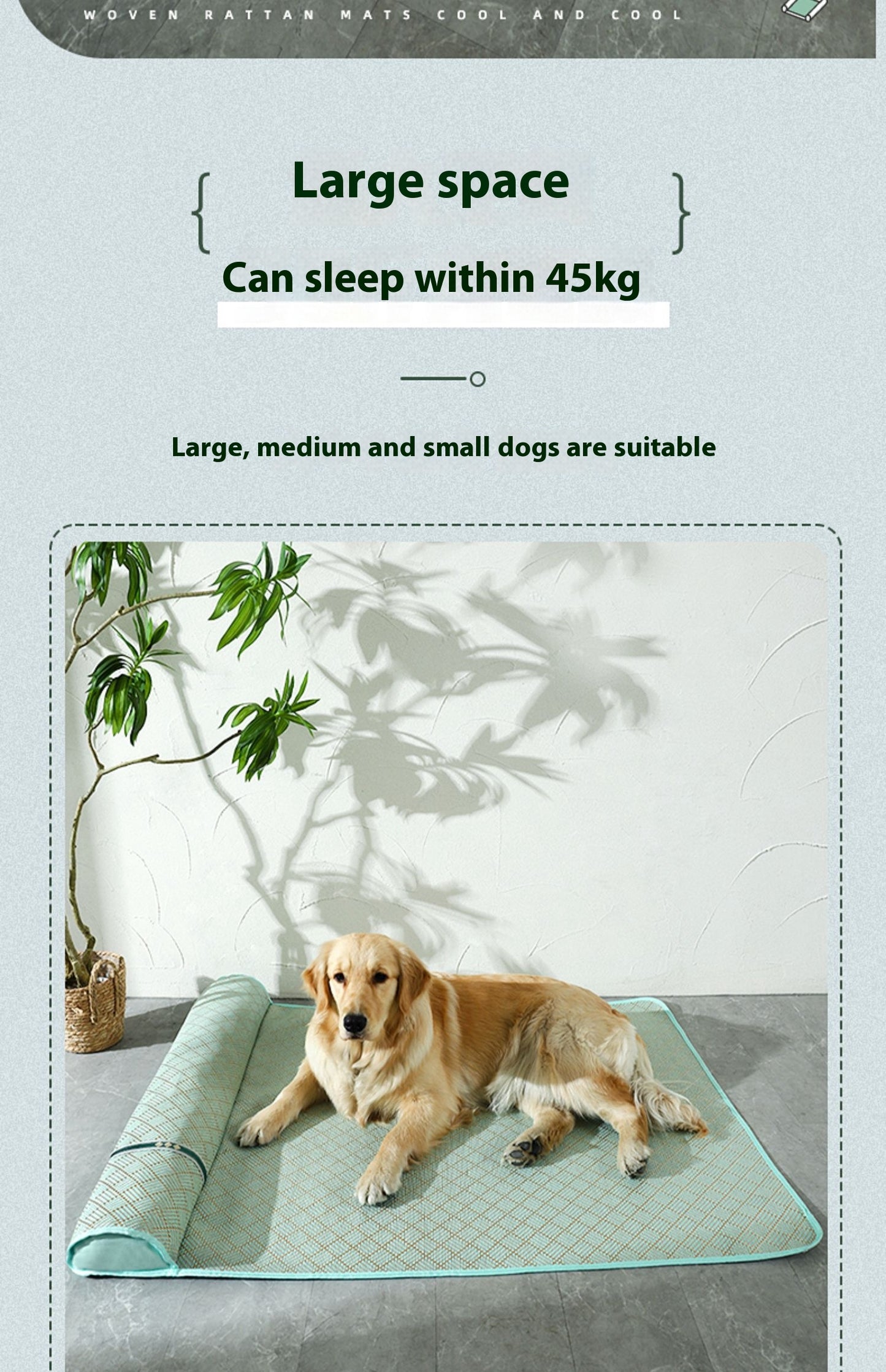 Dog Mat for Summer