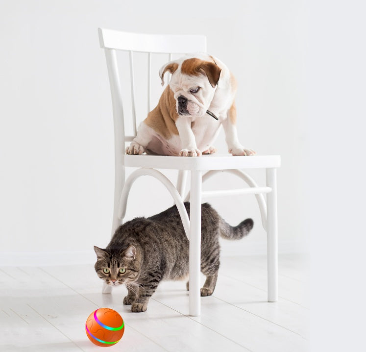 Pet Ball  Intelligent Toy Self Rotating Automatic Rotation Ball
