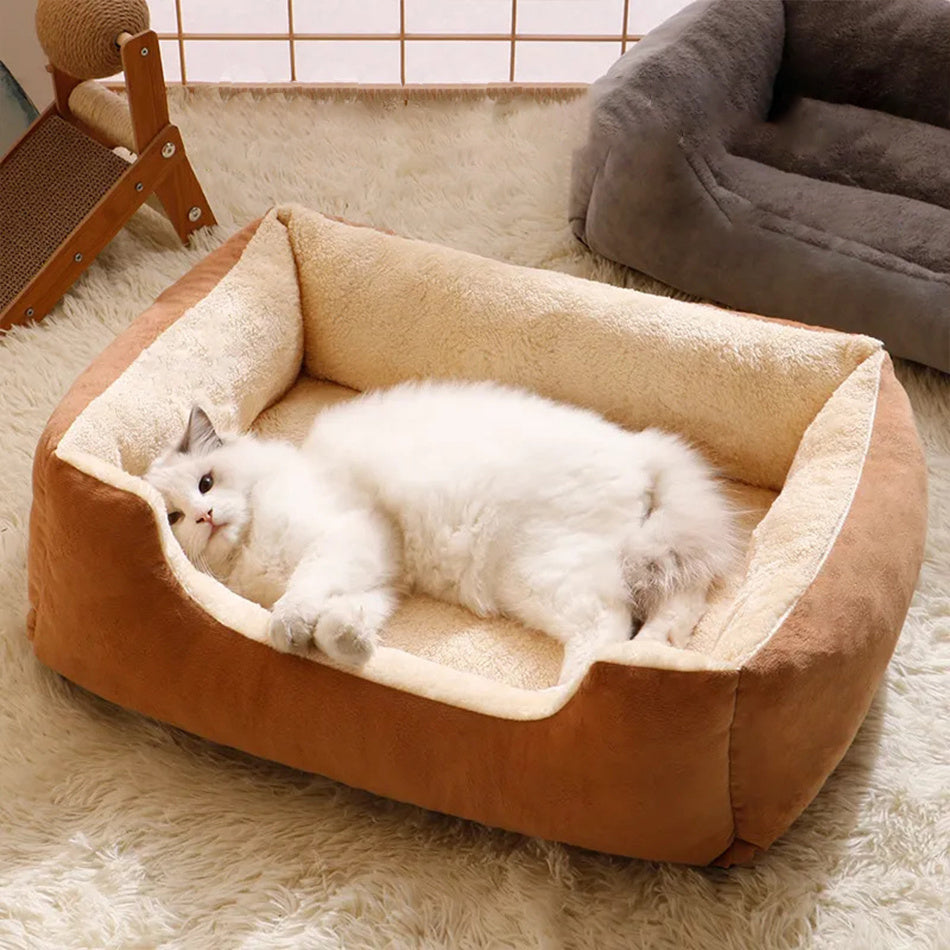 Bed For Pet