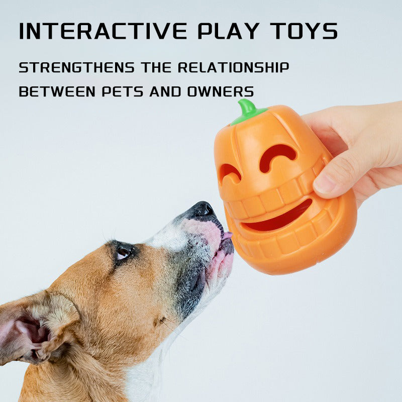 Interactive Dog Chew Toy