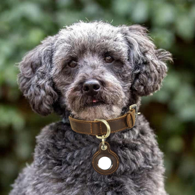 Double-sided Cowhide Dog Collar Handmade Halter Positioning Tracking Anti-lost