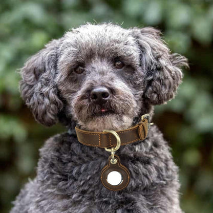 Double-sided Cowhide Dog Collar Handmade Halter Positioning Tracking Anti-lost